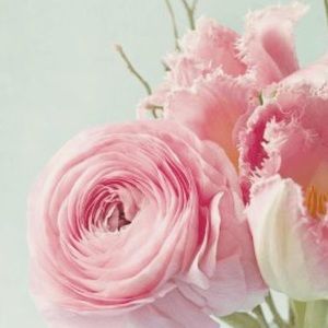 Meet your Posher, Alona